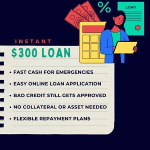 300 dollar loan